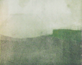 BIZZARE SIGHT / Lino cut series, 2012